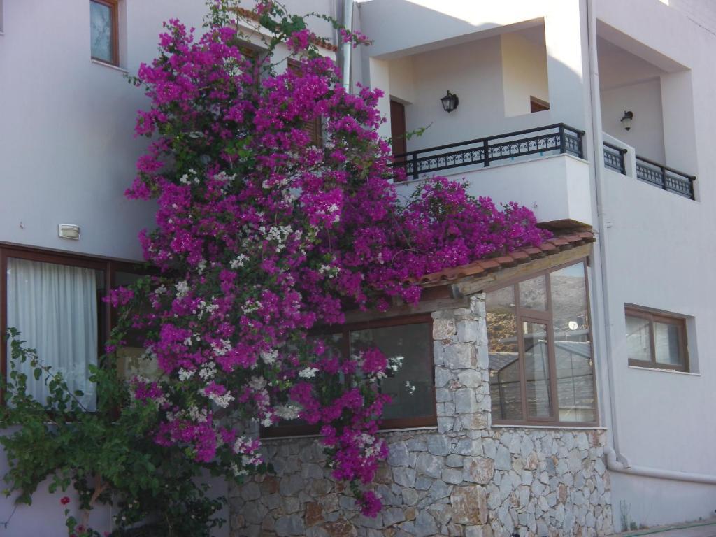 Serenity Hideaway Paleohóra Szoba fotó